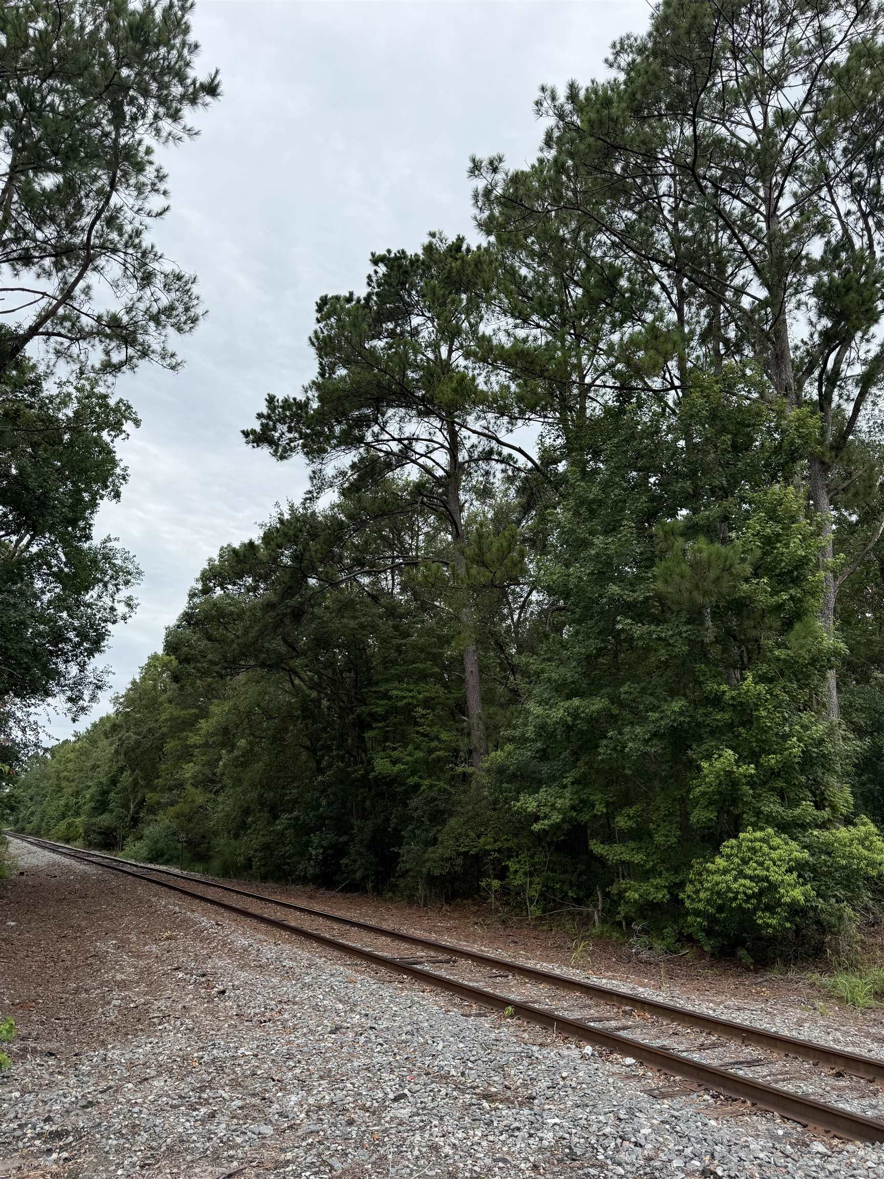 Tbd Southwest Tram Road Greenville, FL 32331 - Photo 2 of 9 Gallery Image 2
