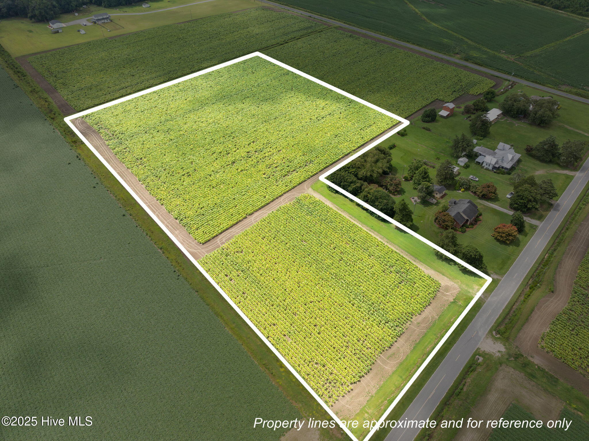 13-web-or-mls-DJI_0614_1