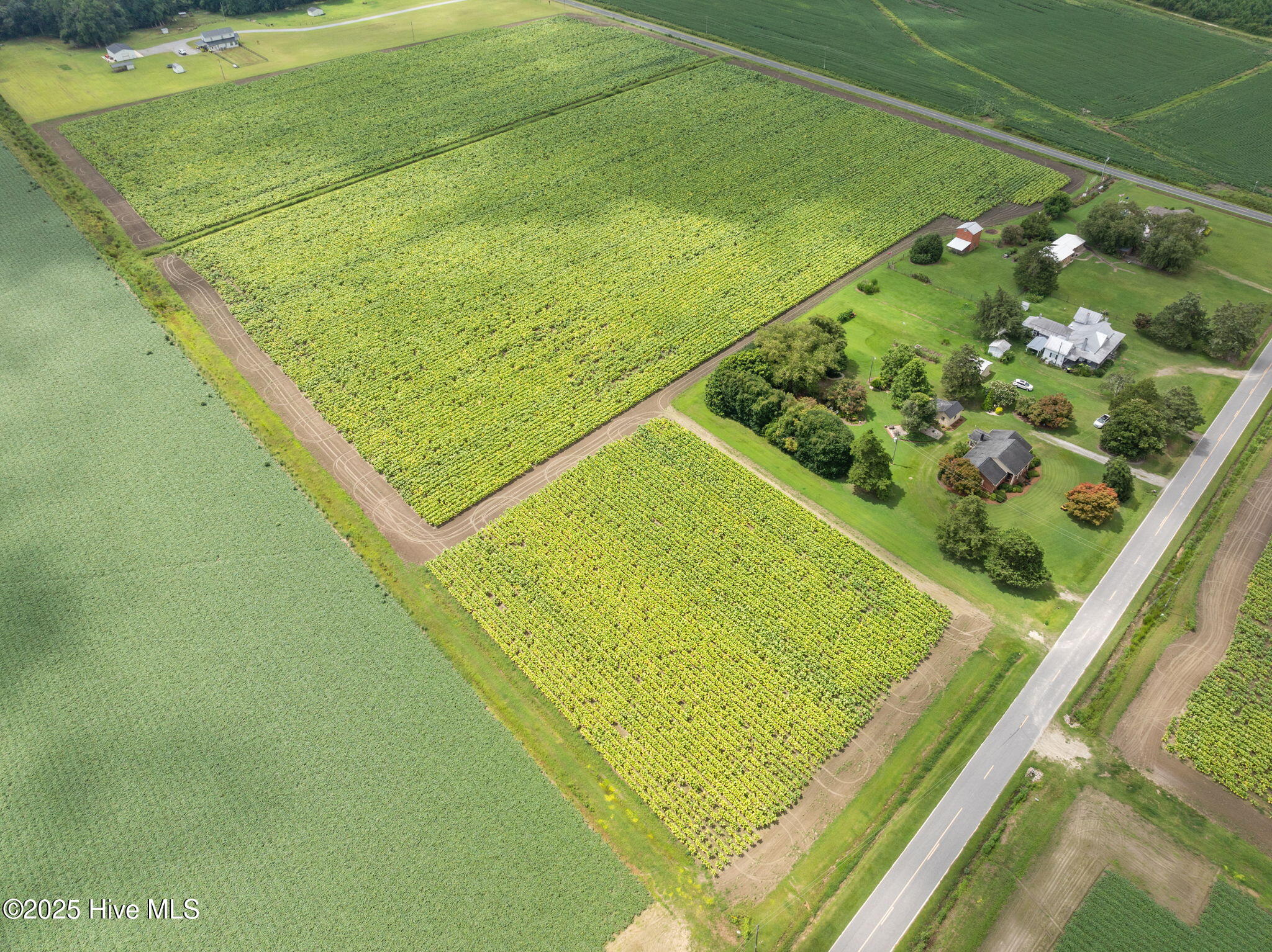 0 Kings Crossroads Road Fountain, NC 27829 - Photo 2 of 11 3-web-or-mls-DJI_0614
