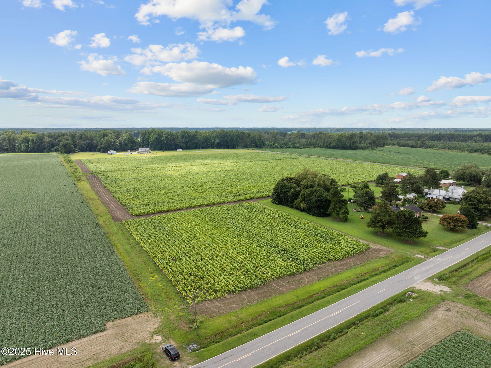 0 Kings Crossroads Road Fountain, NC 27829 - Photo 3 of 11 4-web-or-mls-DJI_0605