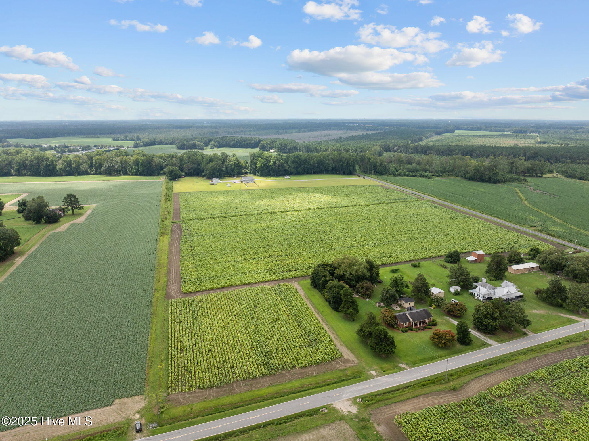 0 Kings Crossroads Road Fountain, NC 27829 - Photo 4 of 11 5-web-or-mls-DJI_0606