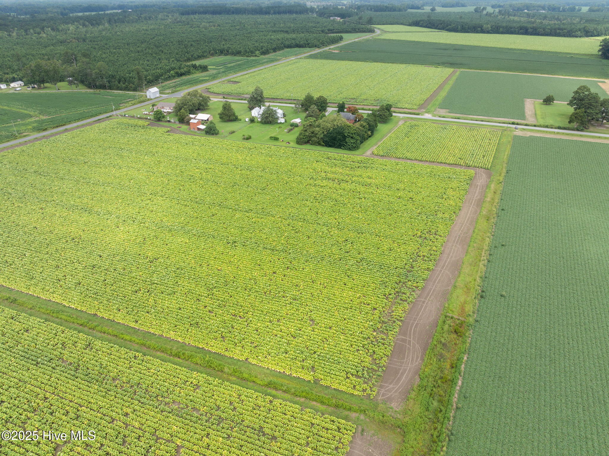 0 Kings Crossroads Road Fountain, NC 27829 - Photo 6 of 11 7-web-or-mls-DJI_0608