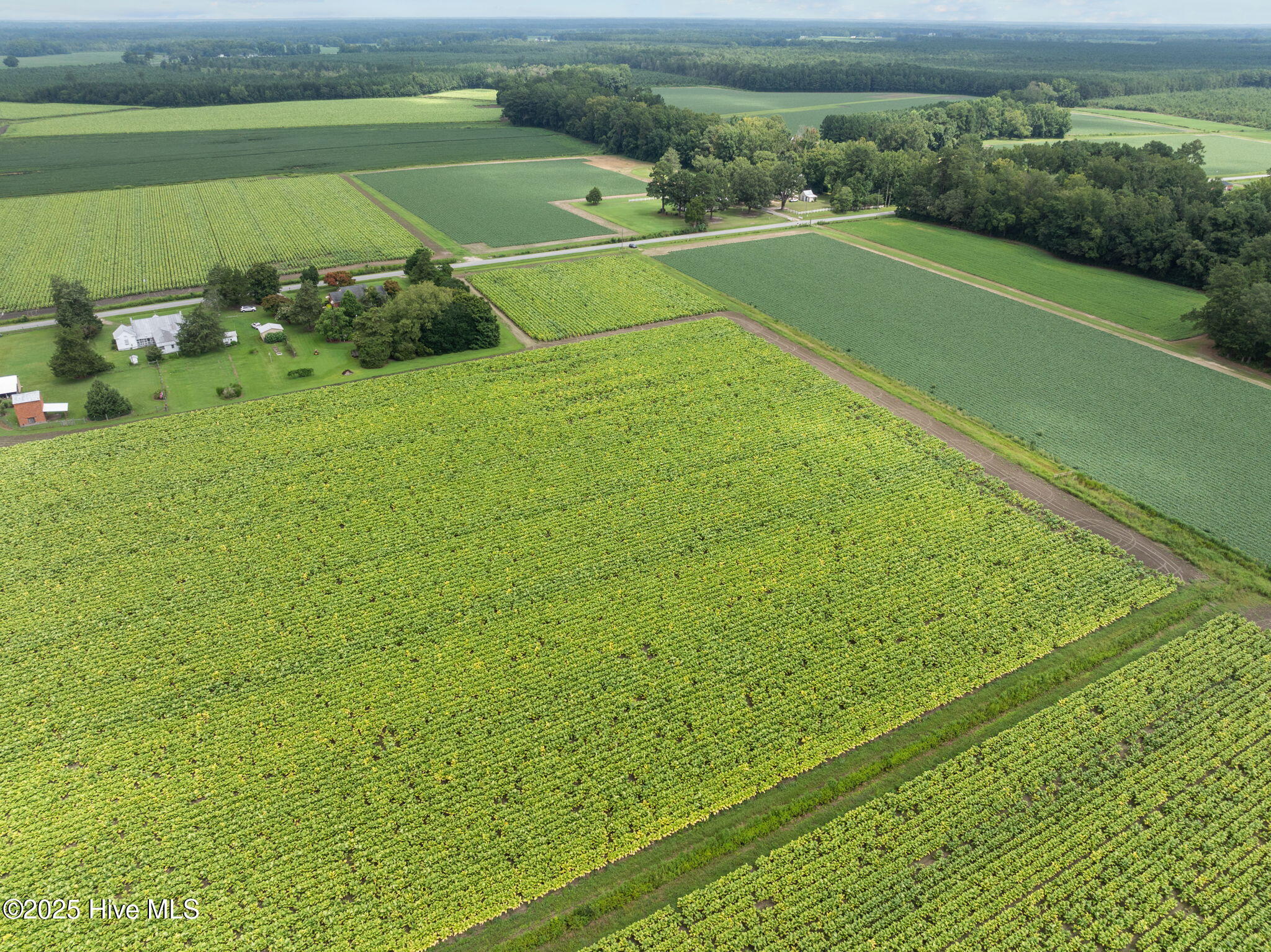0 Kings Crossroads Road Fountain, NC 27829 - Photo 8 of 11 9-web-or-mls-DJI_0610