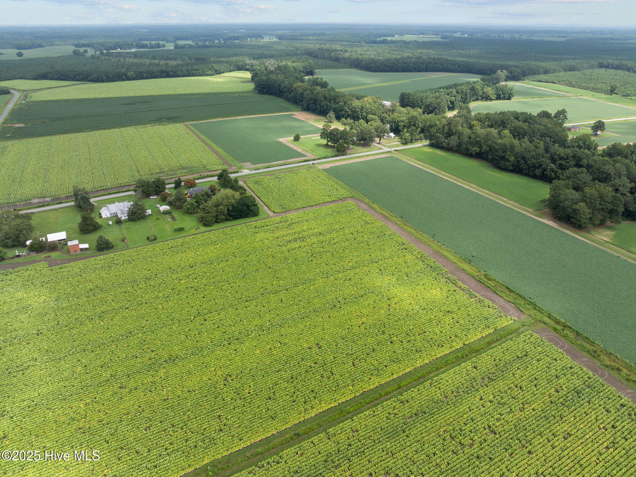 0 Kings Crossroads Road Fountain, NC 27829 - Photo 9 of 11 10-web-or-mls-DJI_0611