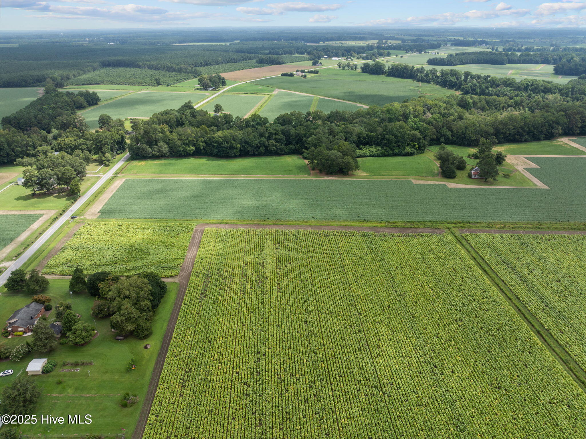 0 Kings Crossroads Road Fountain, NC 27829 - Photo 10 of 11 11-web-or-mls-DJI_0612