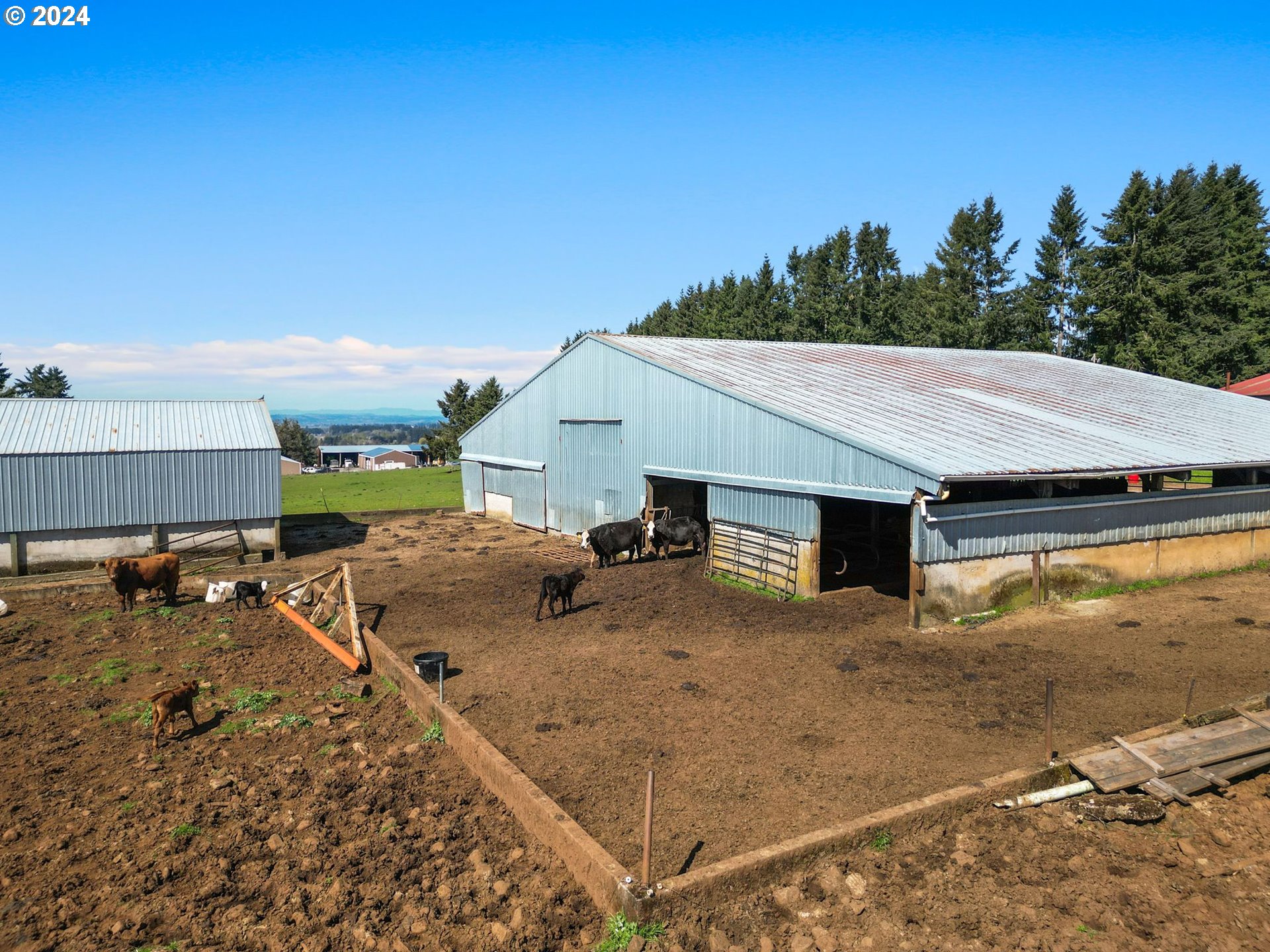 15272 Fern Ridge Road Southeast Stayton, OR 97383 - Photo 35 of 42 Gallery Image 35