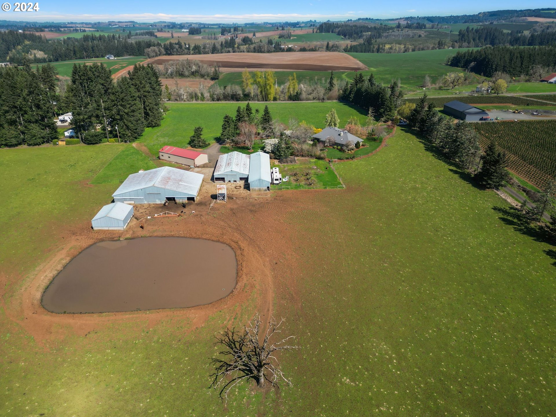 15272 Fern Ridge Road Southeast Stayton, OR 97383 - Photo 38 of 42 Gallery Image 38