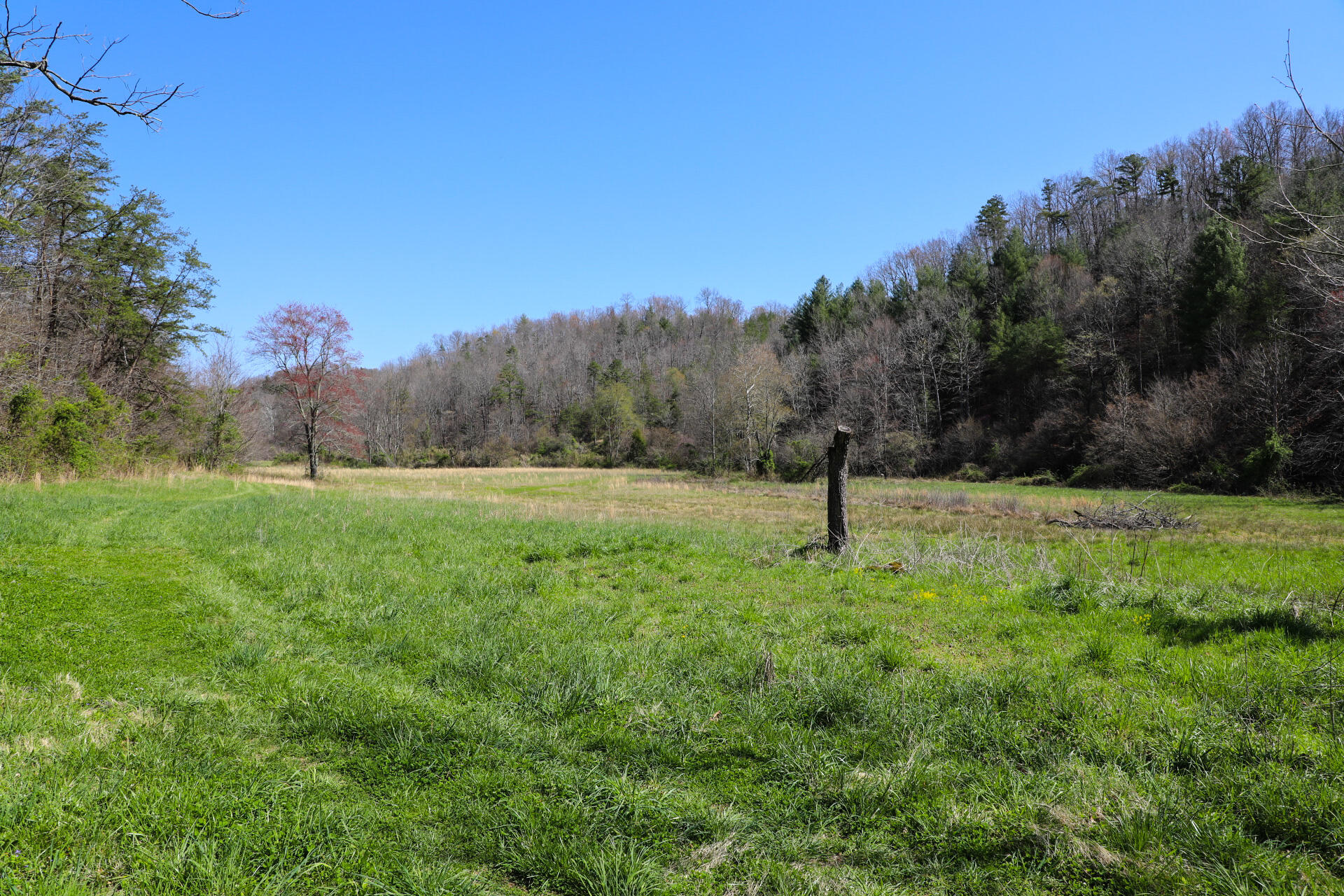 553 Oscar Morgan Road Strunk, KY 42649 - Photo 42 of 53 40