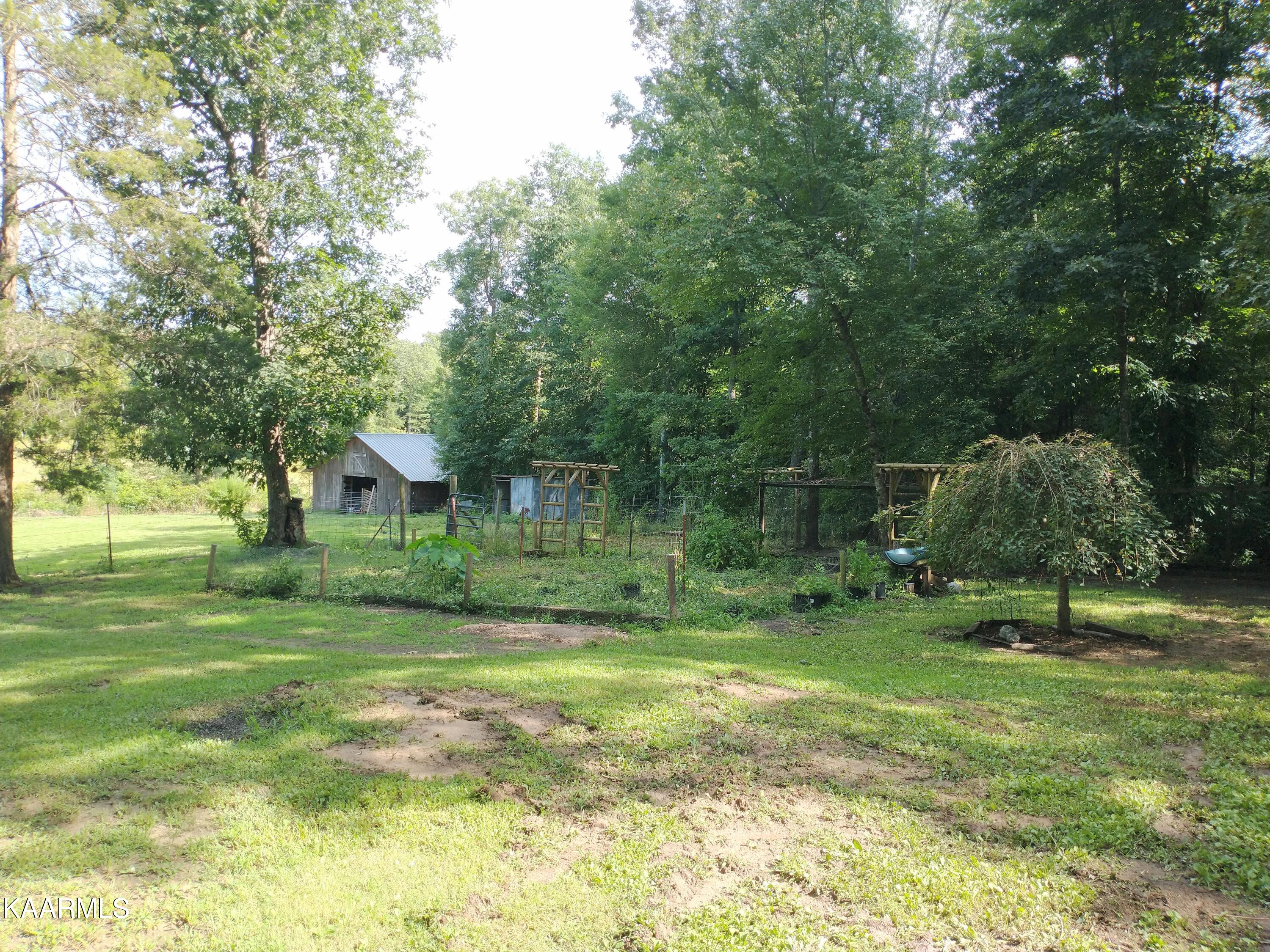 1765 Genesis Road Lancing, TN 37770 - Photo 18 of 19 IMG_20220807_155922896_2