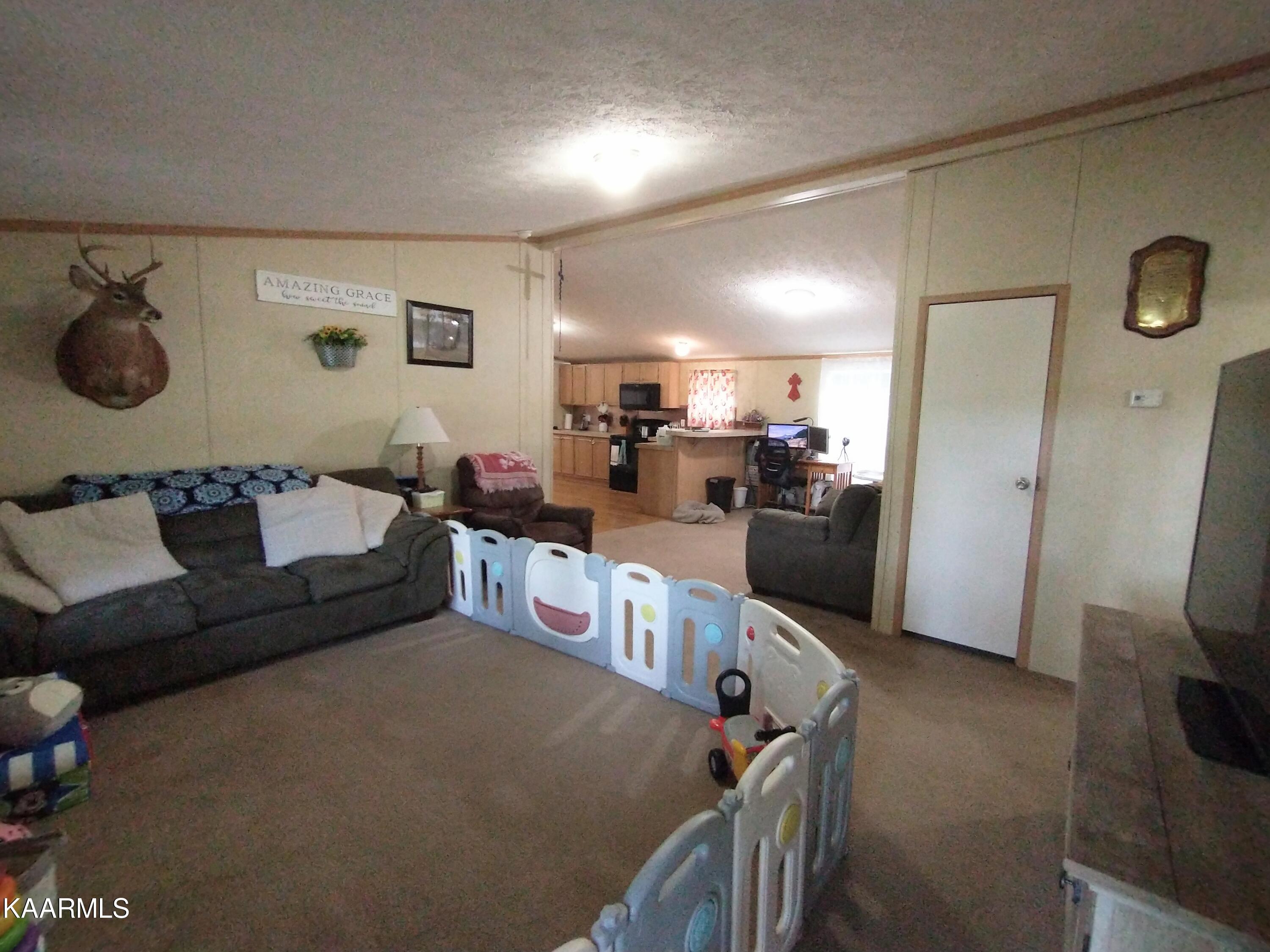 1765 Genesis Road Lancing, TN 37770 - Photo 7 of 19 IMG_20220807_165721316_2