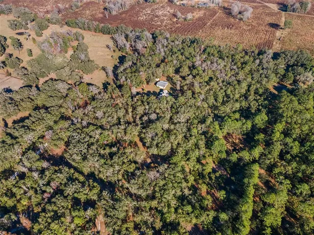 $749,000 | 14600 Northwest 216th Place, Micanopy, FL 32667
