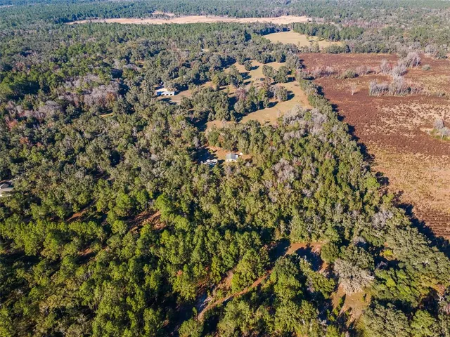 $749,000 | 14600 Northwest 216th Place, Micanopy, FL 32667