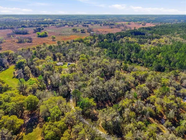 $719,000 | 14600 Northwest 216th Place, Micanopy, FL 32667