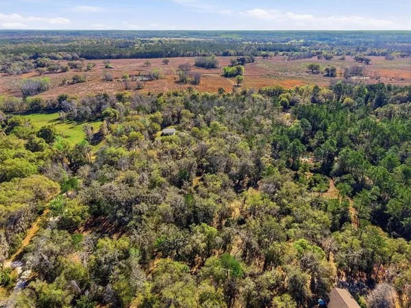 $719,000 | 14600 Northwest 216th Place, Micanopy, FL 32667