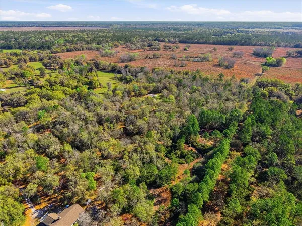 $719,000 | 14600 Northwest 216th Place, Micanopy, FL 32667