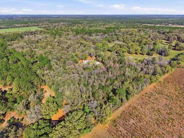 $719,000 | 14600 Northwest 216th Place, Micanopy, FL 32667