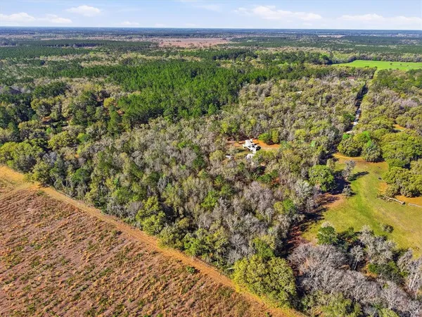 $719,000 | 14600 Northwest 216th Place, Micanopy, FL 32667