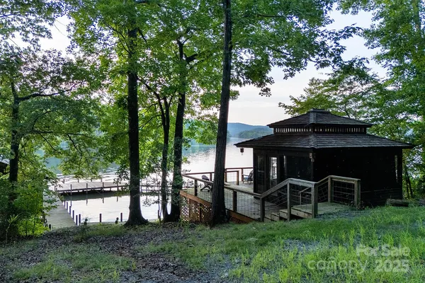 a view of a garden with plants
