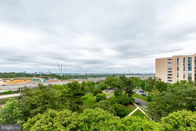 a view of a big yard with plants and large trees