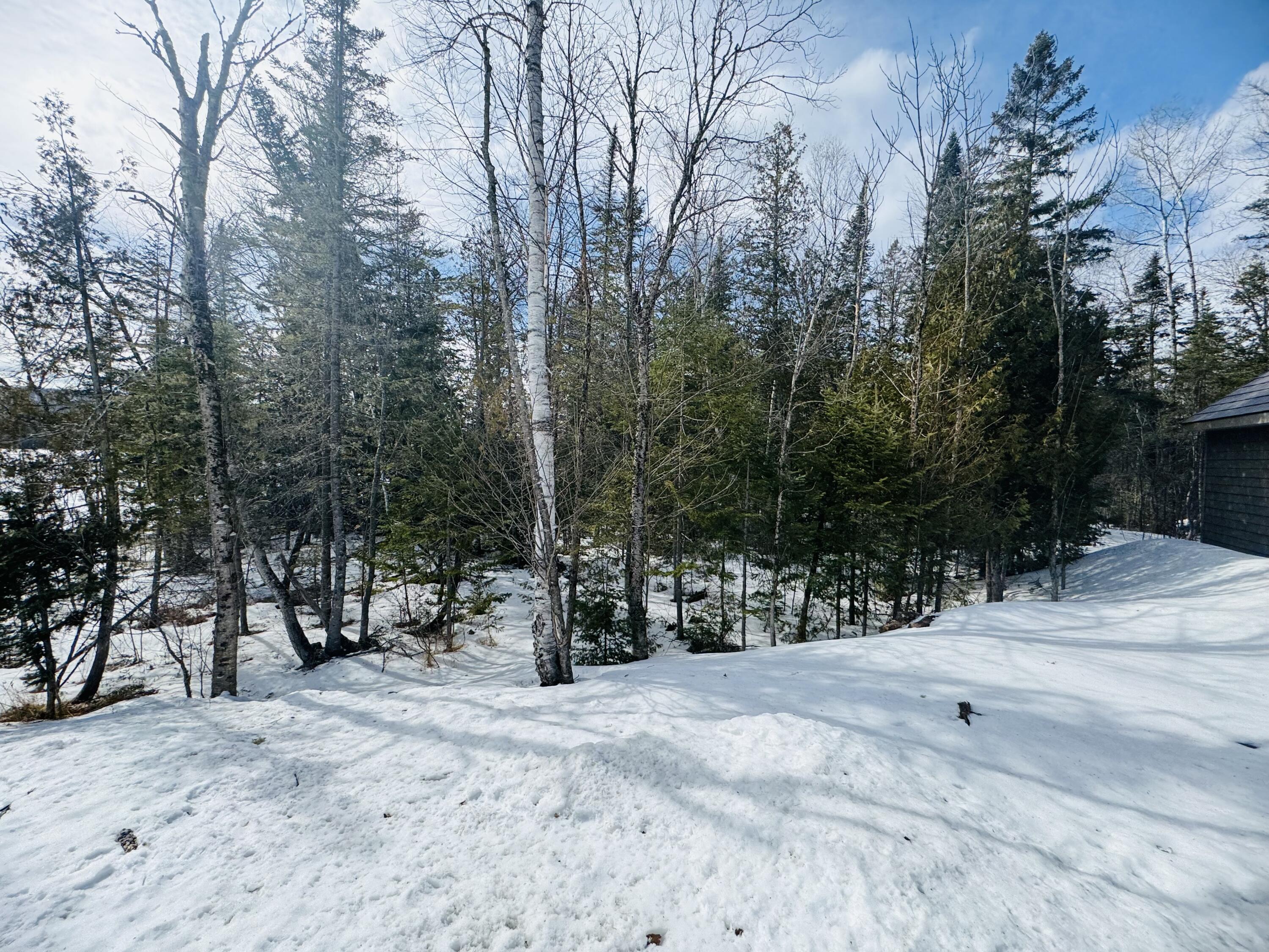 530 East Van Buren Cove Road Sinclair, ME 04779 - Photo 13 of 49 IMG_0788