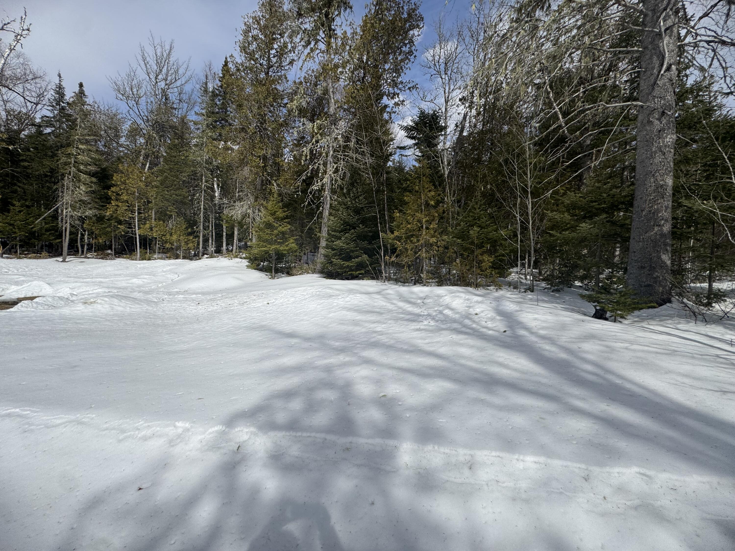 530 East Van Buren Cove Road Sinclair, ME 04779 - Photo 16 of 49 IMG_0814