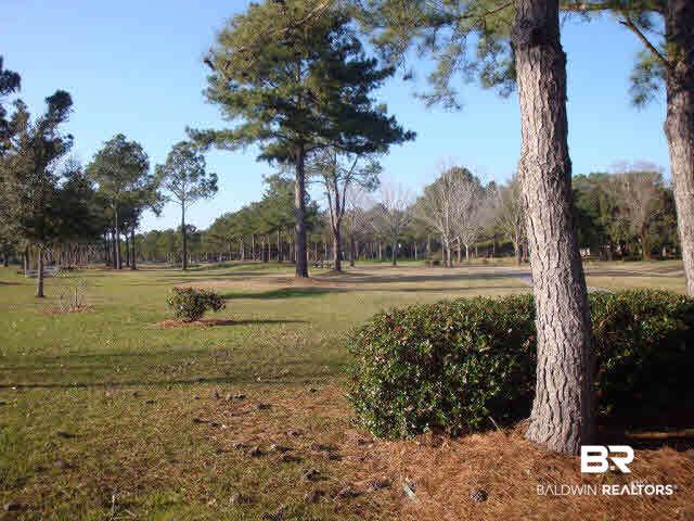 108 Lakeridge Drive Fairhope, AL 36532 - Photo 3 of 17 VIEW FROM BACKYARD