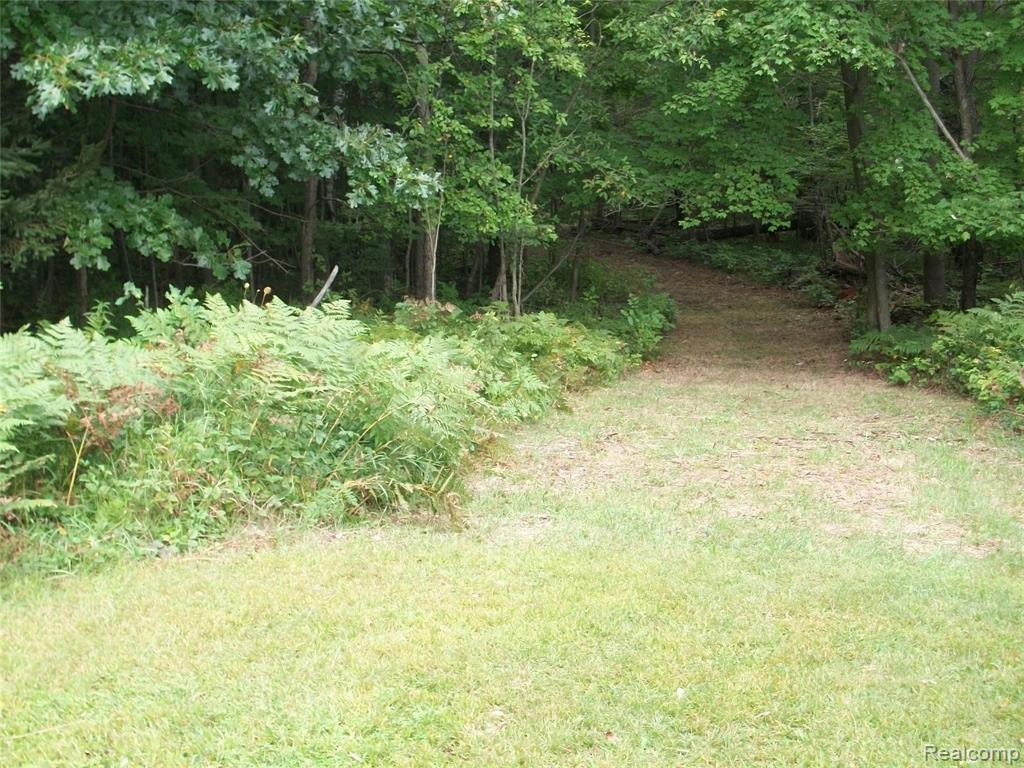 4350 5 Lakes Road North Branch, MI 48461 - Photo 13 of 24 Gallery Image 13