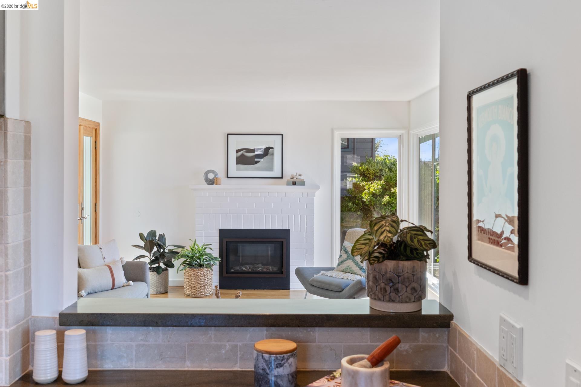 49 Windsor Avenue Kensington, CA 94708 - Photo 22 of 60 a living room with furniture and a potted plant
