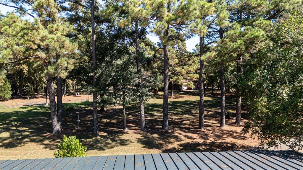 100 Letha Road Trinidad, TX 75163 - Photo 20 of 38 a view of outdoor space