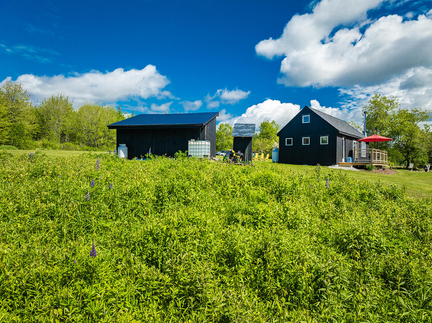 36 Salt Pond Road Friendship, ME 04547 - Photo 60 of 60 DJI_0198