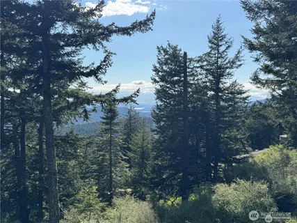 a view of lake from yard