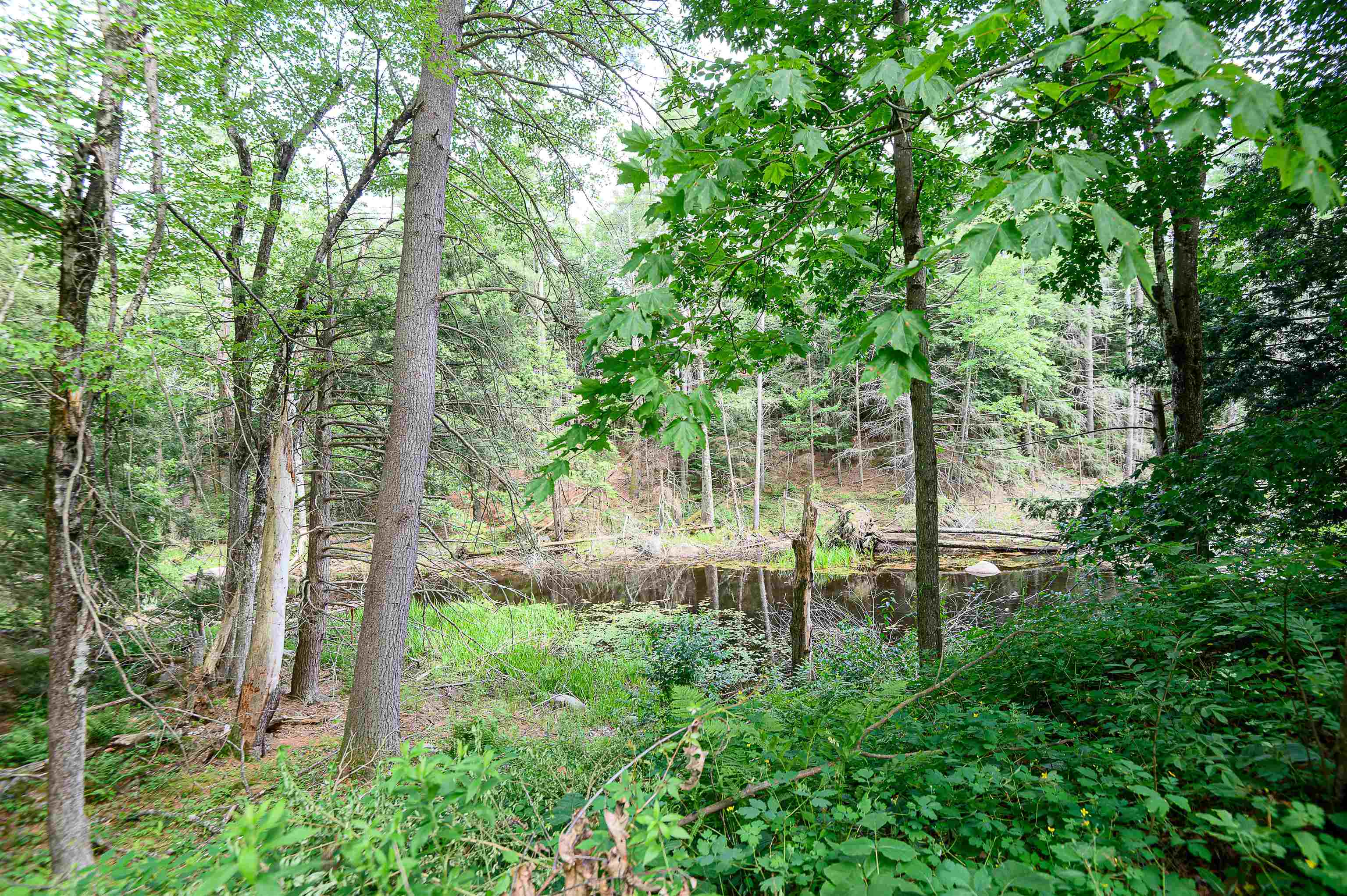 39 Old Cart Road Raymond, NH 03077 - Photo 40 of 43