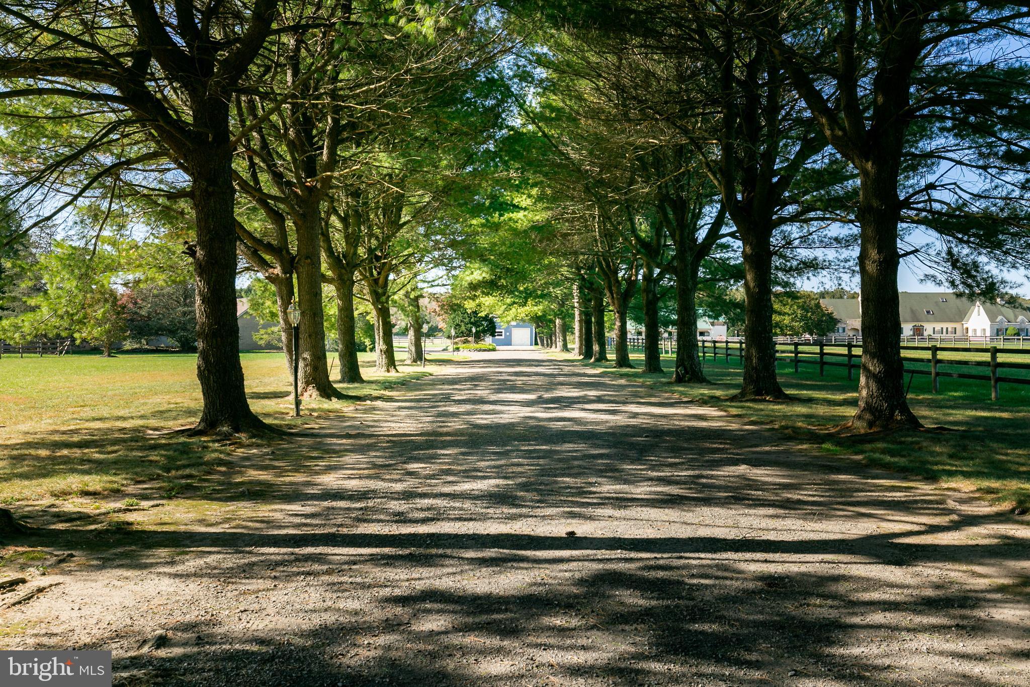 201 Stokes Road Shamong, NJ 08088 - Photo 2 of 40 Driveway