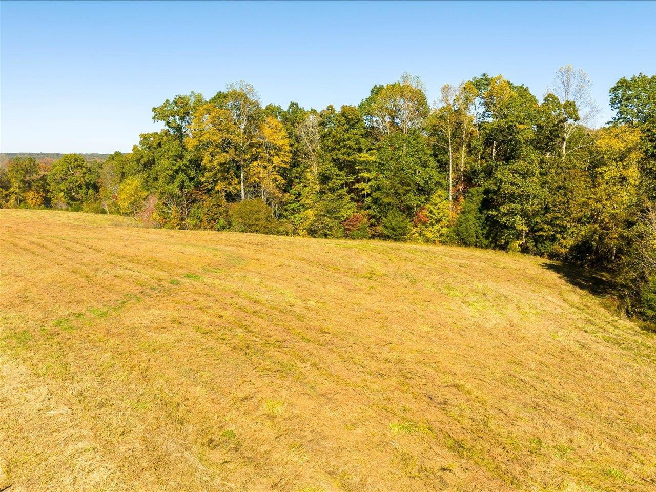 600 Anderson Ridge Road Mebane, NC 27302 - Photo 29 of 63 Photo 29