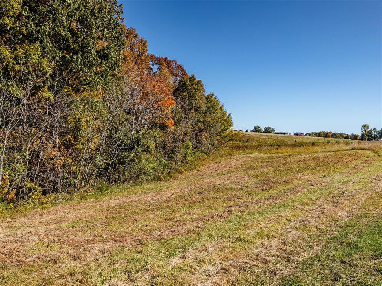 600 Anderson Ridge Road Mebane, NC 27302 - Photo 38 of 63 Photo 38