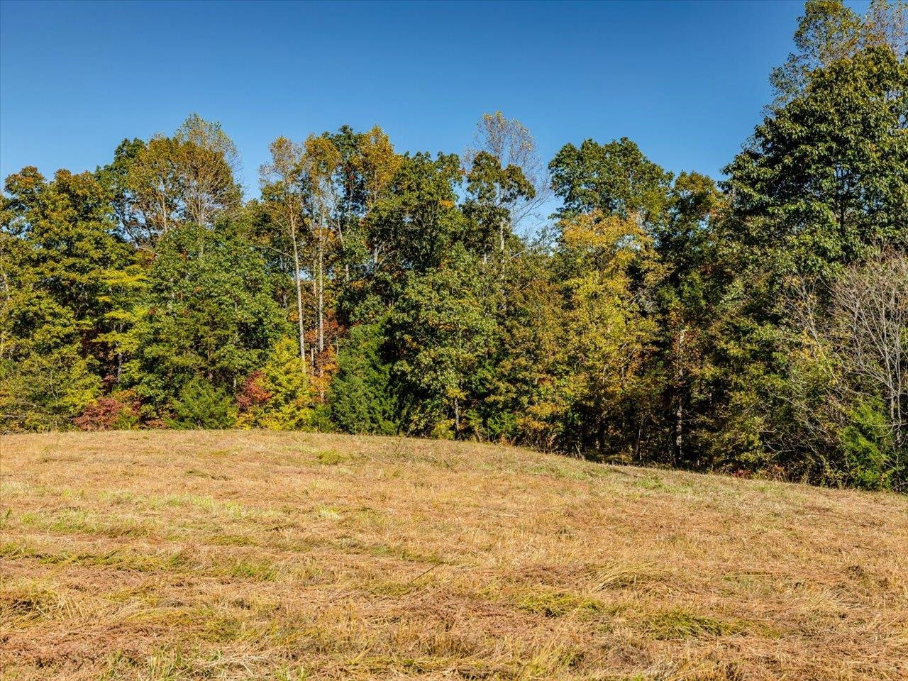 600 Anderson Ridge Road Mebane, NC 27302 - Photo 39 of 63 Photo 39