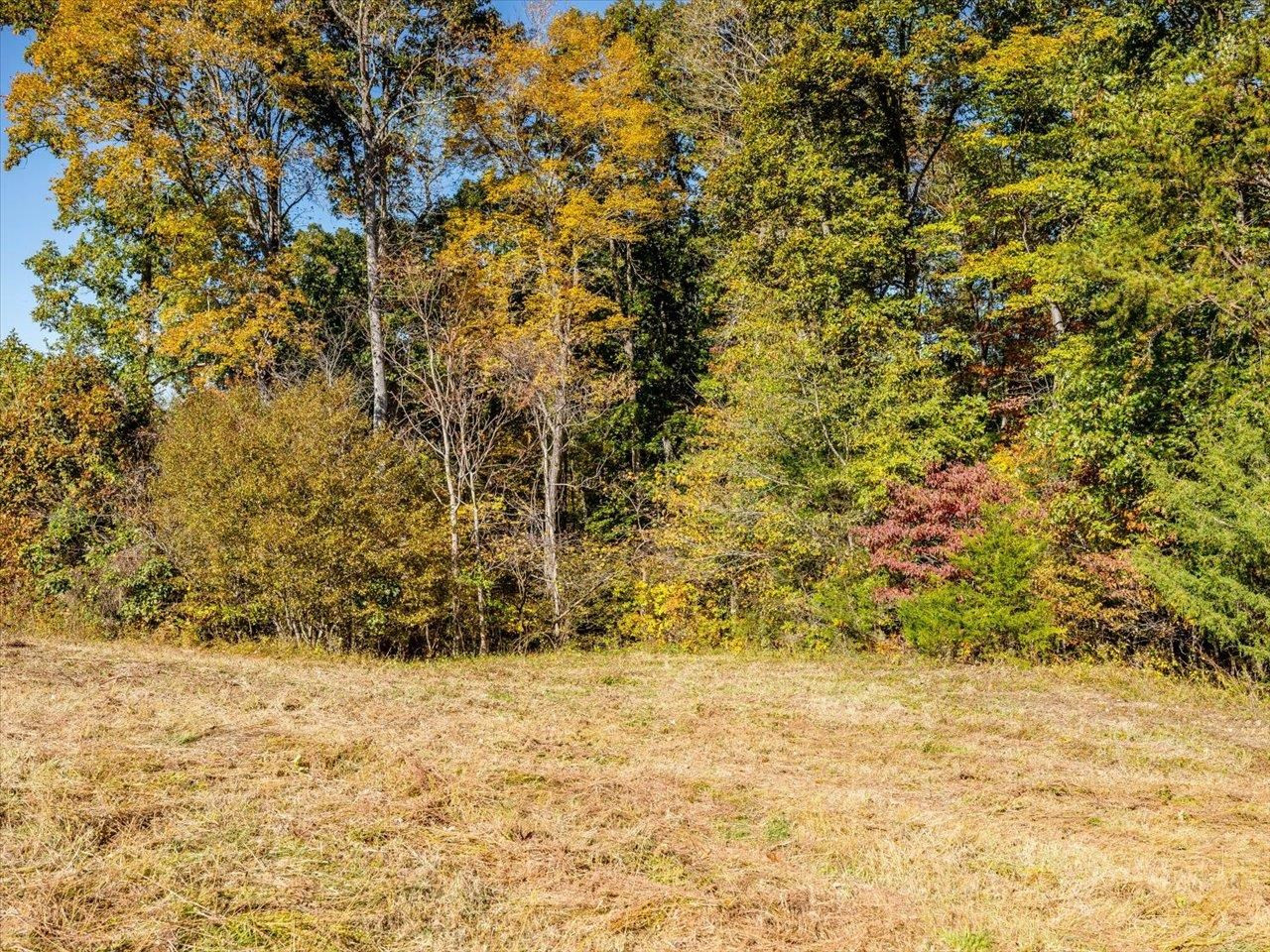 600 Anderson Ridge Road Mebane, NC 27302 - Photo 40 of 63 Photo 40