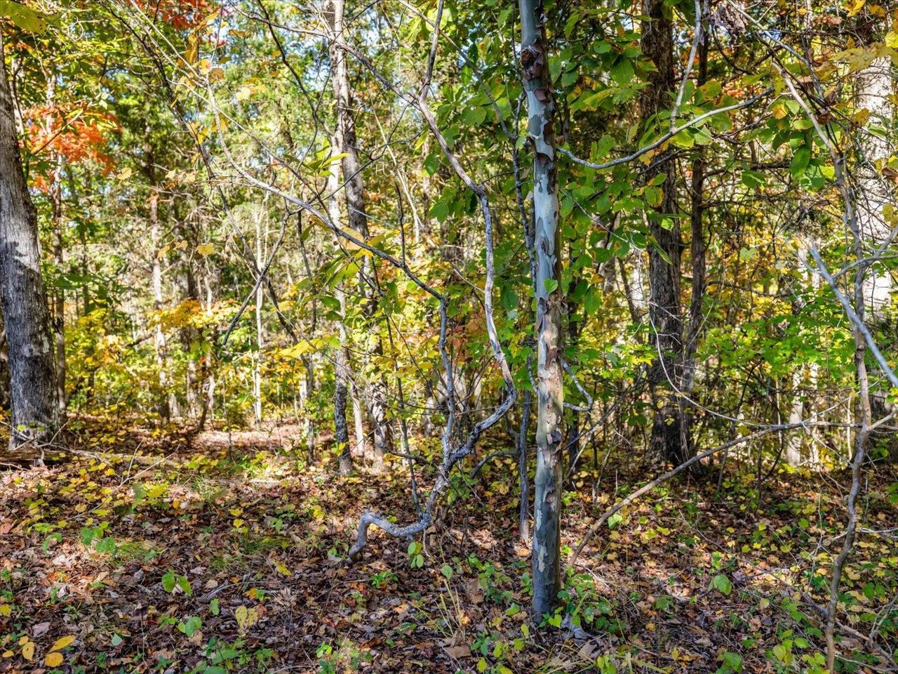 600 Anderson Ridge Road Mebane, NC 27302 - Photo 41 of 63 Photo 41