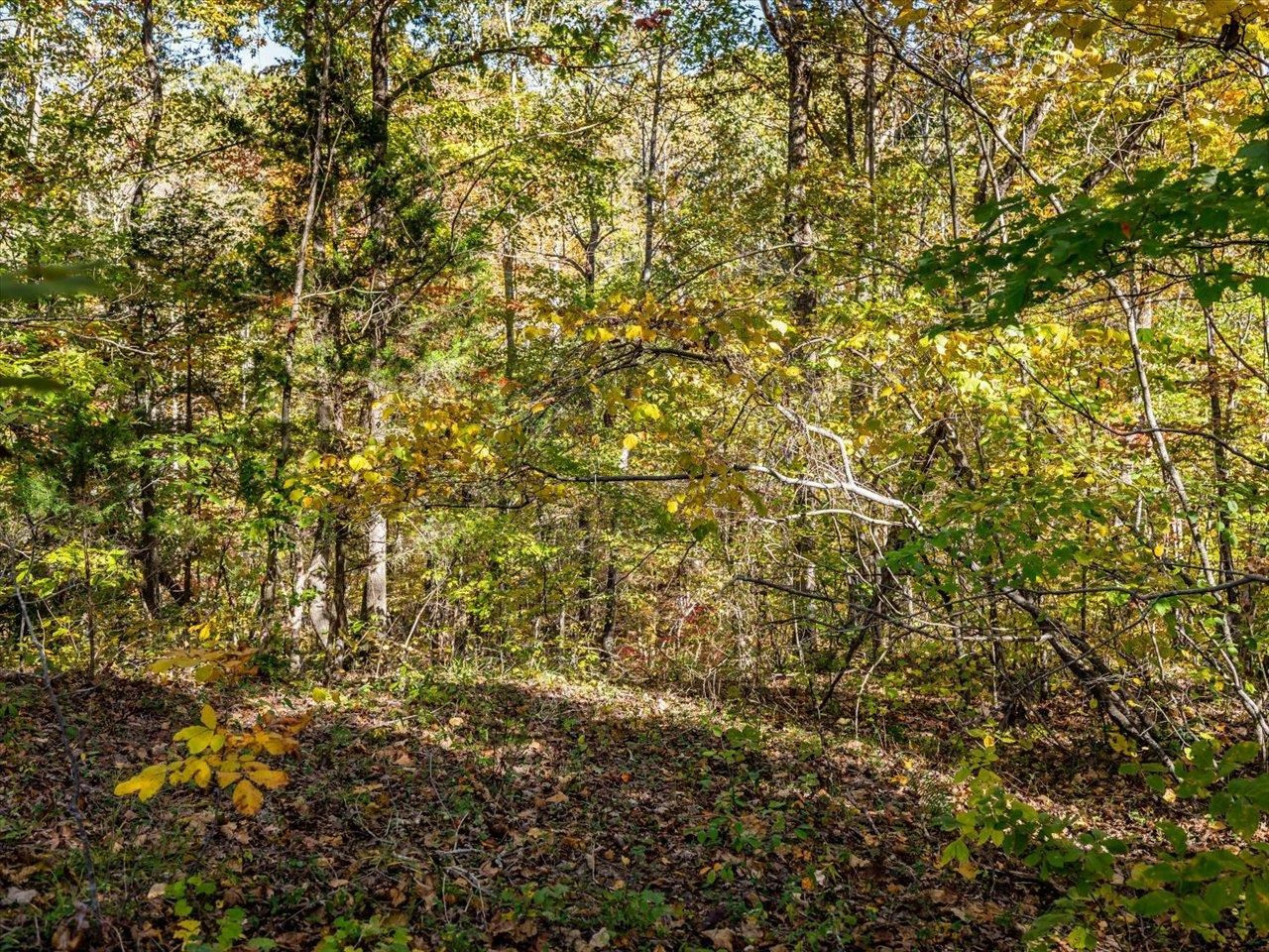 600 Anderson Ridge Road Mebane, NC 27302 - Photo 42 of 63 Photo 42