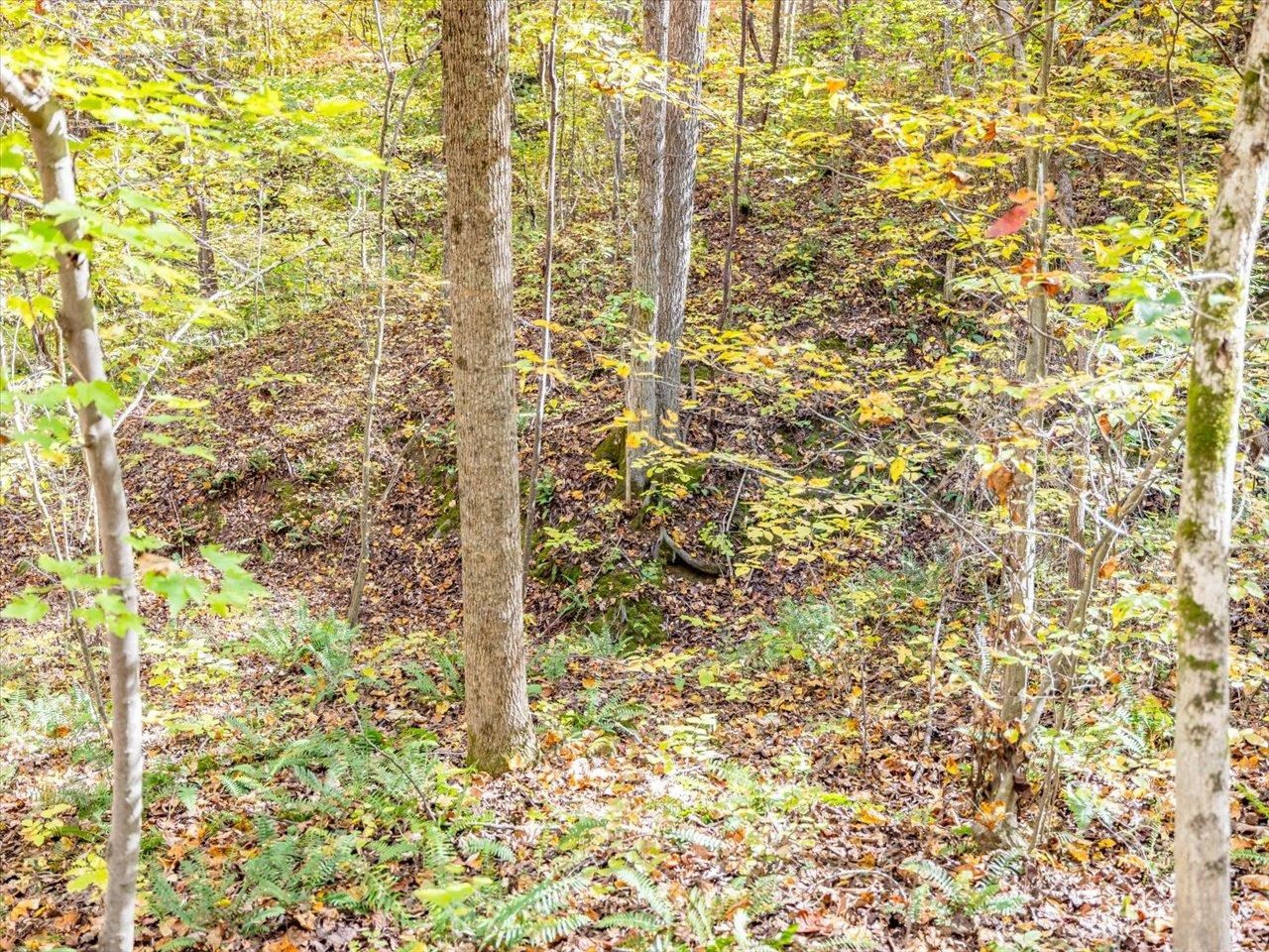 600 Anderson Ridge Road Mebane, NC 27302 - Photo 43 of 63 Photo 43