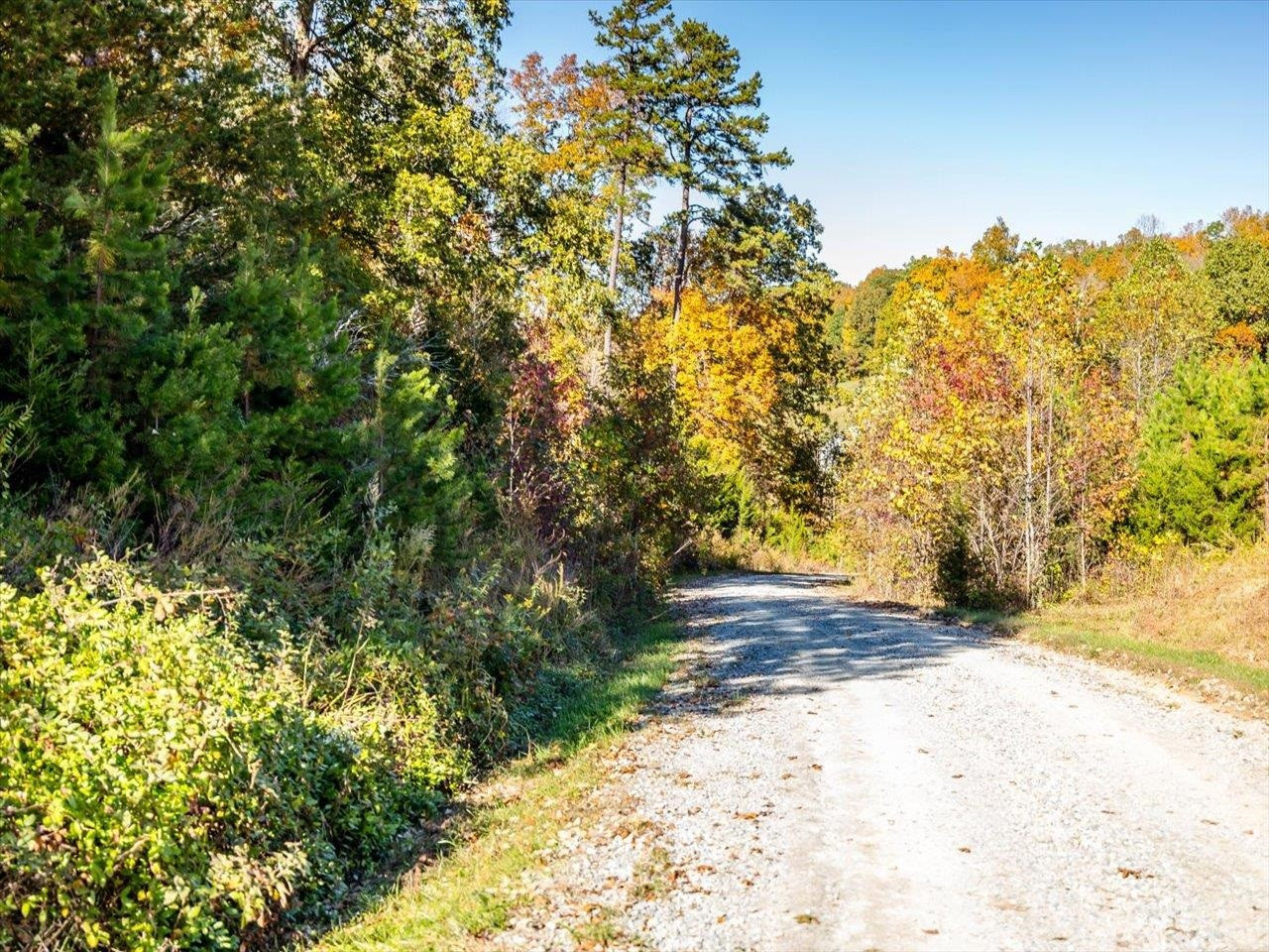 600 Anderson Ridge Road Mebane, NC 27302 - Photo 53 of 63 Photo 53