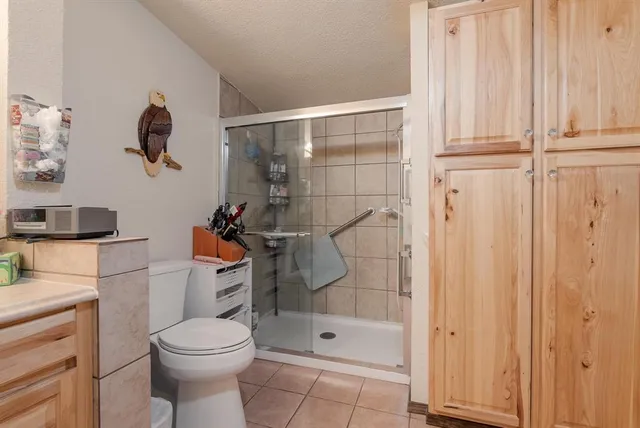 a bathroom with a shower and a toilet