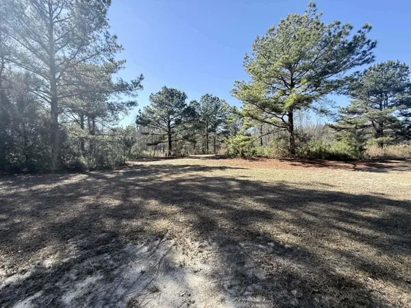 a view of dirt field with trees