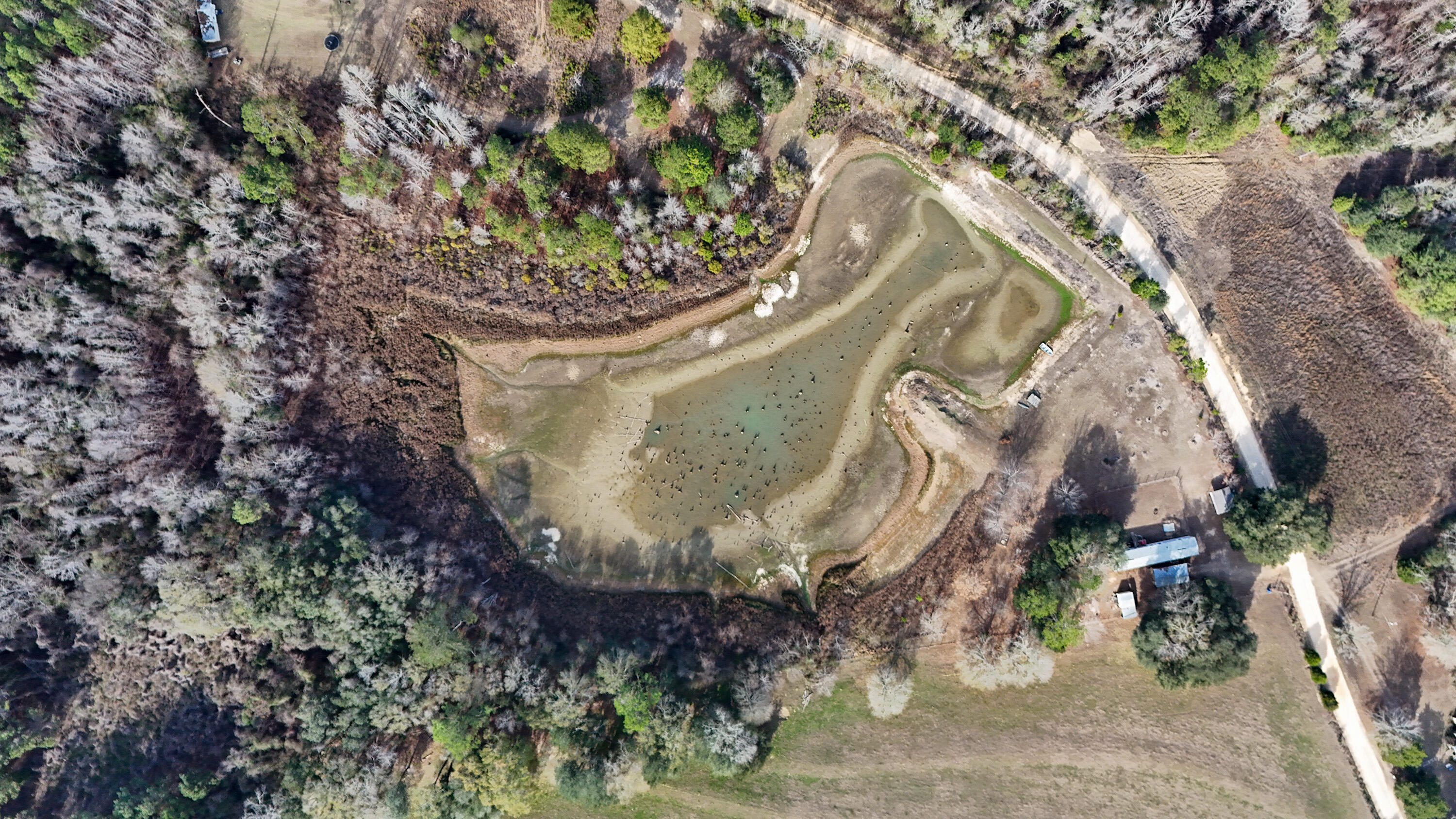 3.40-ac Bulger Town Road Florala, AL 36442 - Photo 4 of 14 a view of a tree in a yard