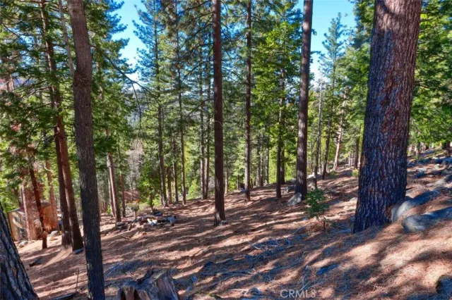 a view of outdoor space with lots of trees