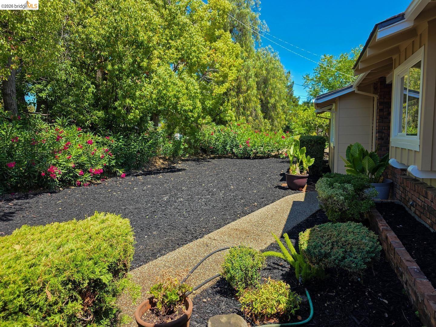 965 Springer Road Los Altos, CA 94024 - Photo 2 of 31 Landscaped side yard featuring a gravel pathway, black mulch ground cover, and mature green trees