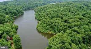 a view of a garden with a lake