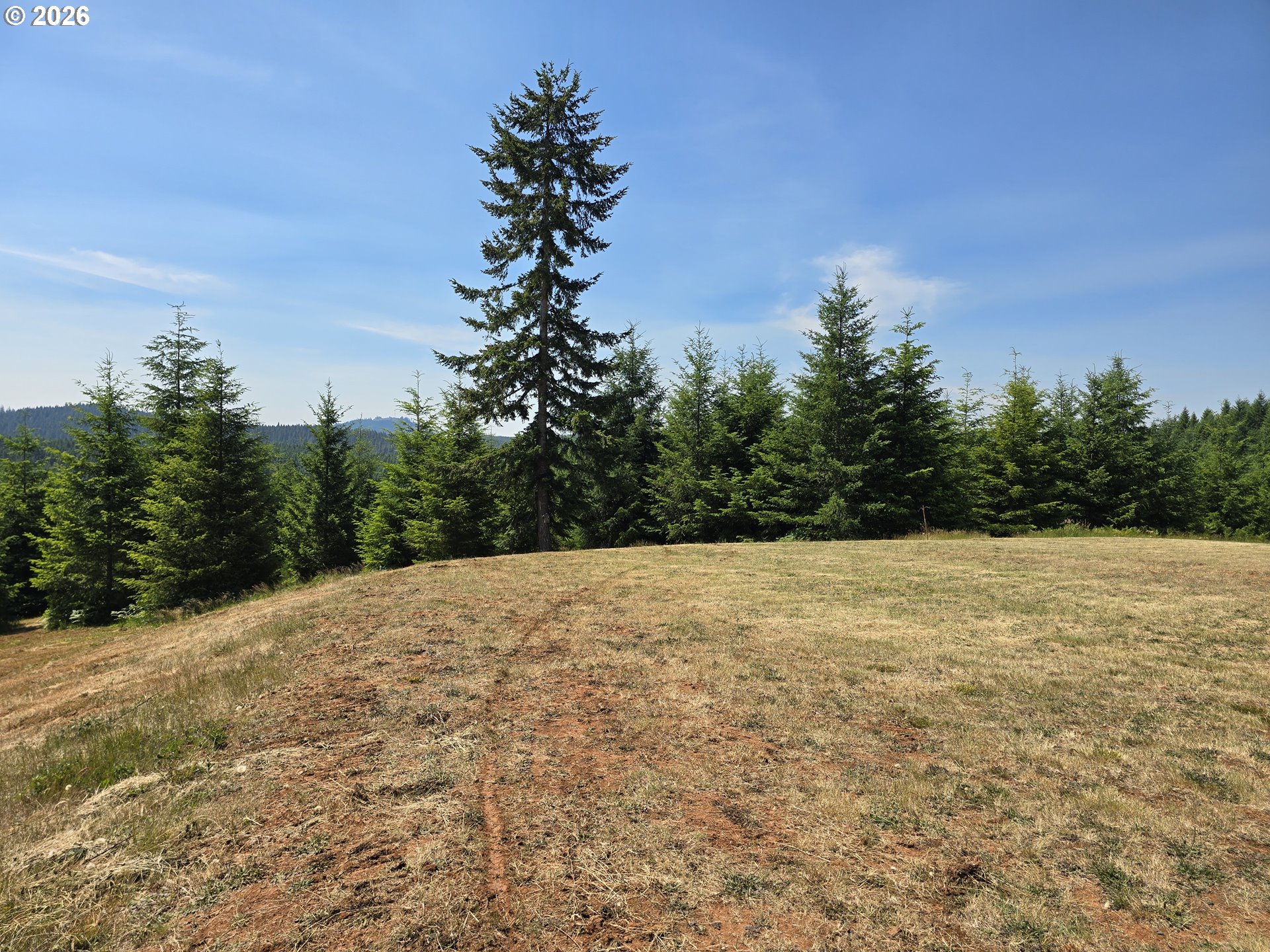 28818 Gowdyville Road Lorane, OR 97451 - Photo 16 of 18