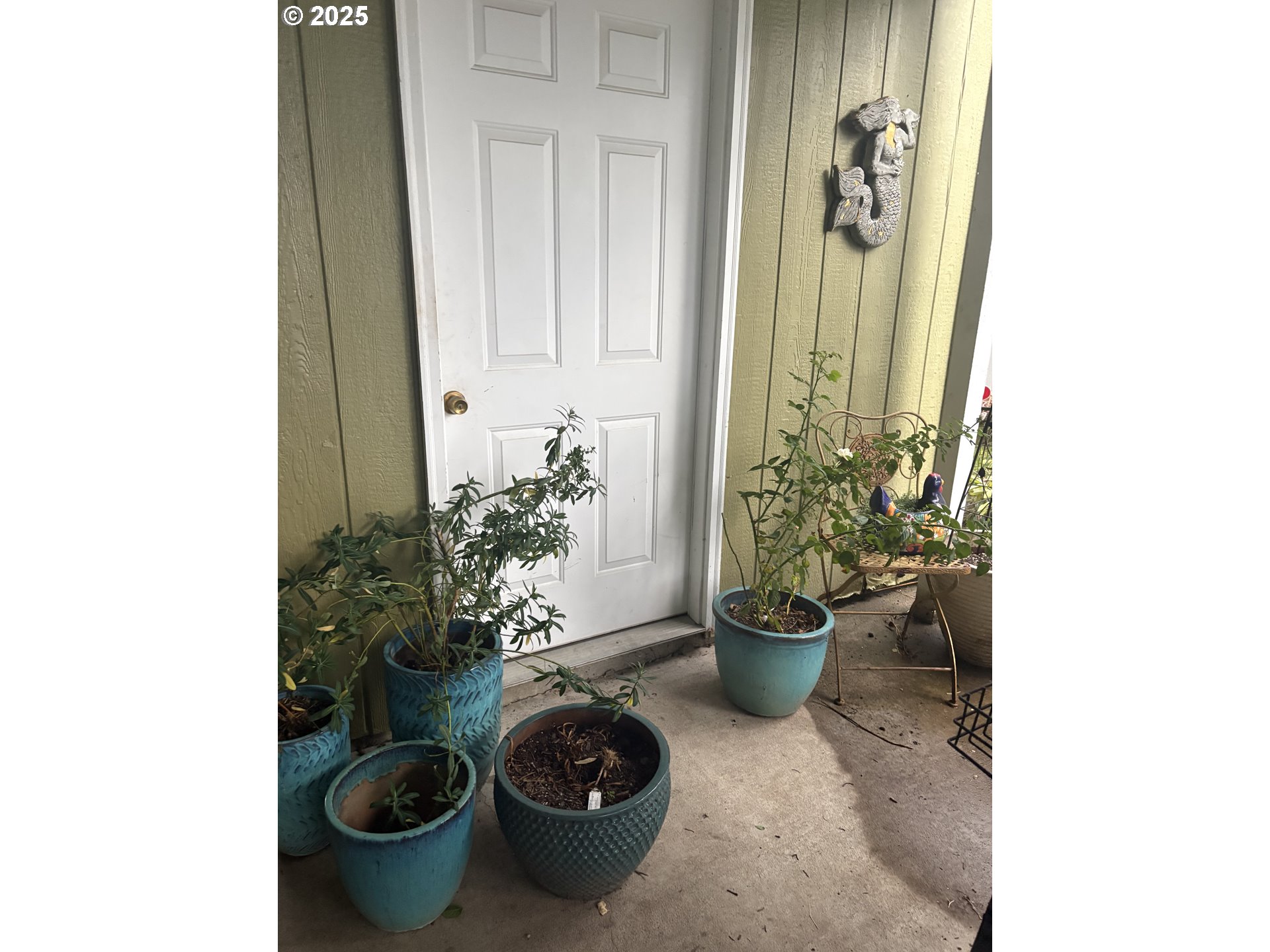 1699 North Terry Street, Unit 272 Eugene, OR 97402 - Photo 21 of 25 a room with a potted plant and a potted plants
