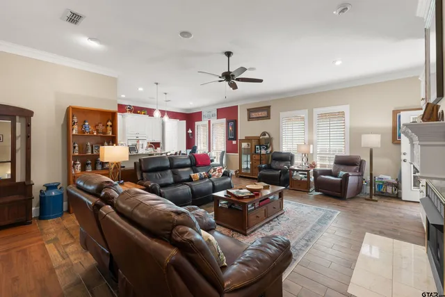 a living room with furniture ceiling fan and a rug